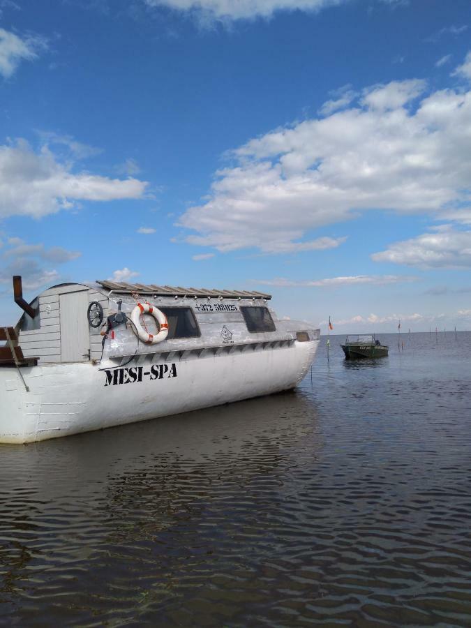 Botel Peipsi Boathouses *